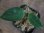 画像1: Aglaonema cf nebulosum from P.Lingga【AZ0517-11】 (1)