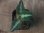 画像3:  Aglaonema pictum tricolor from Sibolga Timur【HW0819-05j】 (3)