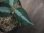 画像4:  Aglaonema pictum multicolor "HGWTZ under PS-4 " from Padang Sidempuan【HW0523-29】(18) (4)