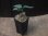 画像5:  Aglaonema pictum multicolor "HGWTZ under PS-4 " from Padang Sidempuan【HW0523-29】(18) (5)