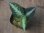 画像1:  Aglaonema picutum tricolor from Tigalingga【HW0818-XG】 (1)