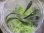画像1: Bucephalandra sp. "Kanowit" Sarawak【TB】 (1)