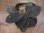 画像1: Homalomena sp. "Laputa" from Batang Toru【AZ0425-9】 (1)