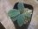 画像1: Homalomena sp. "Beard" from Padangsidempuan【AZ0425-8】 (1)