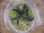 画像3: Bucephalandra sp. "Sintang 2D" from Sintang【HW0220-04】 (3)
