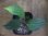 画像2: Homalomena sp. "type Garuda Wing" from Pulau Singkep【HW0824-17】 (2)