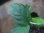 画像3: Homalomena sp. from Padang Sidempuan【HW1123-06】 (3)