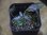 画像1: Cryptocoryne striolata Tauai PP-250209-5 Kapuas hulu KAL-BAR (1)