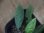 画像2: Schismatoglottis sp. "Cliff" PP250206 Kapuas hulu KAL-BAR (2)