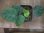 画像3: Homalomena sp. from Peninsular Malaysia【AZ0517-23】 (3)