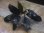 画像1: Bucephalandra sp. "Serimbu2" Landak【TB1907】大株 (1)