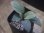 画像1: Homalomena sp. Solok Sumatera【LA1122-04】 (1)