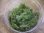 画像1: Leucobryum sp. "tail pillow" PP-250124-6 Berau KAL-TIM (1)