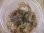画像1: Bucephalandra sp. "Sintang 2D" from Sintang【HW0220-04】 (1)