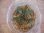 画像3: Bucephalandra sp. "彩雲" from Kapuas【AZX0420-12】 (3)