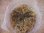 画像3: Bucephalandra sp. "Sintang 2D" from Sintang【HW0220-04】 (3)