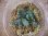 画像3: Bucephalandra sp. "Kayulapis3" Kalimantan barat【TB】3芽付 (3)