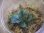 画像2: Bucephalandra sp. "Kayulapis3" Kalimantan barat【TB】2芽付 (2)
