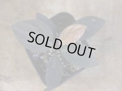 画像2: Homalomena humilis "赤葉赤輝" from Entikong【HW0725-8】